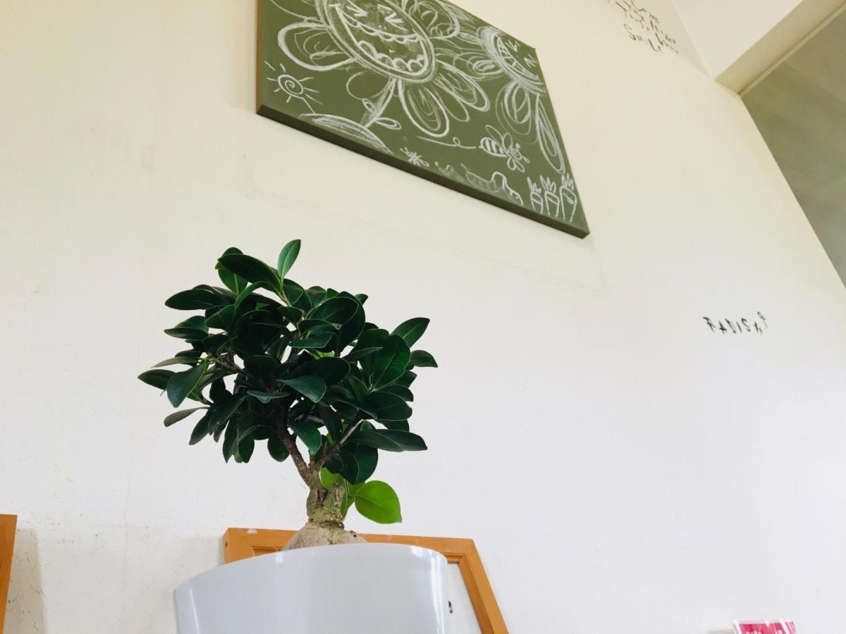 Hotel Radish House 仙北市 エクステリア 写真